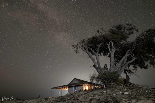 prisca-ari-55